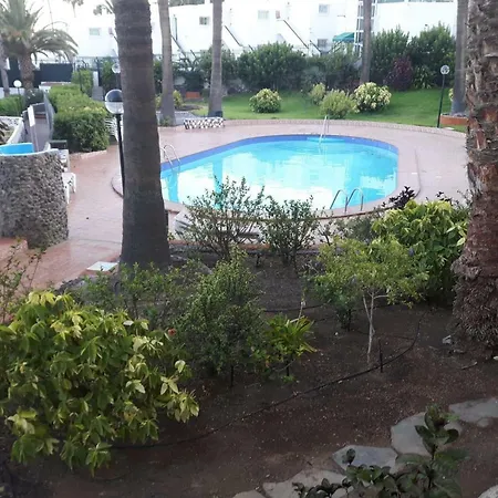 Playa Del Pirata Shami *